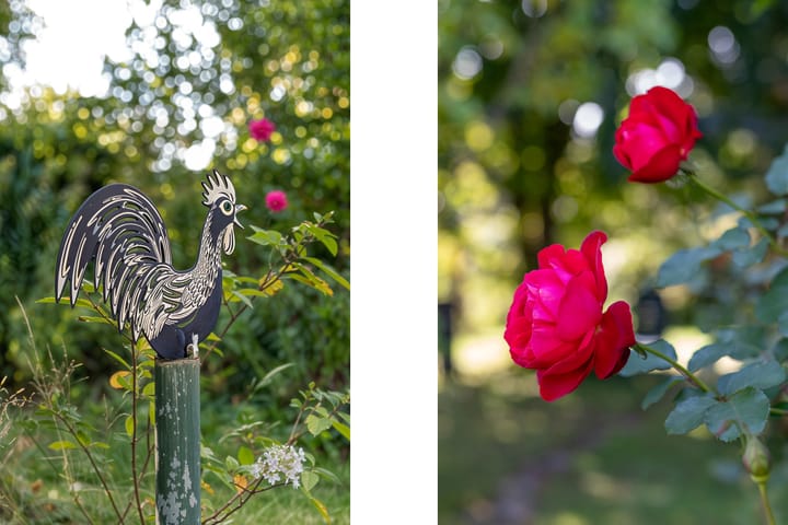 Foto 18 van St.Pieterstraat 265