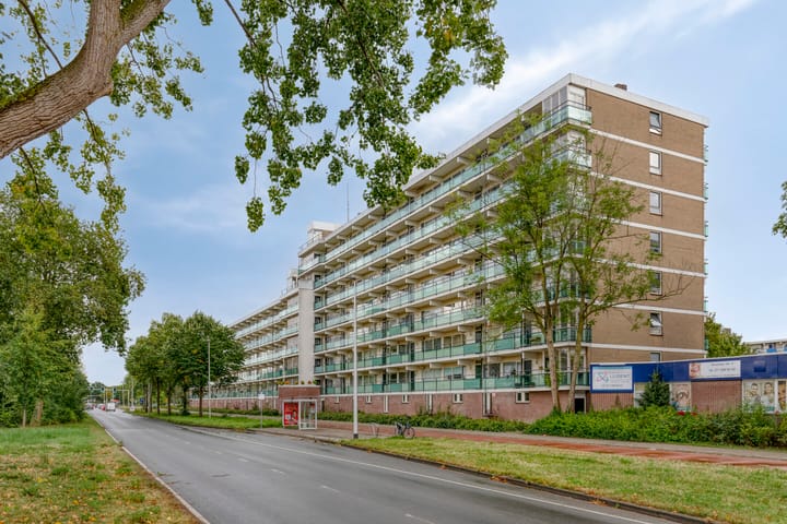 Foto 21 van Merelstraat 100