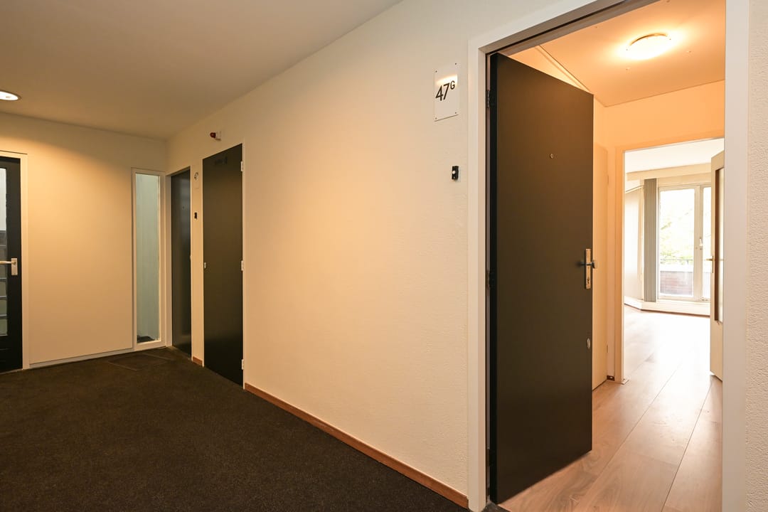 Foto 13 van Jan van Nassaustraat 47-G