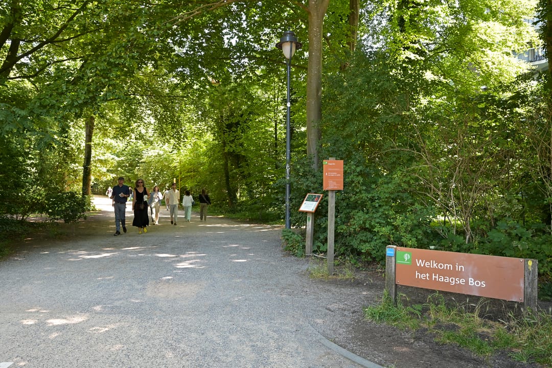 Foto 22 van Jan van Nassaustraat 47-G