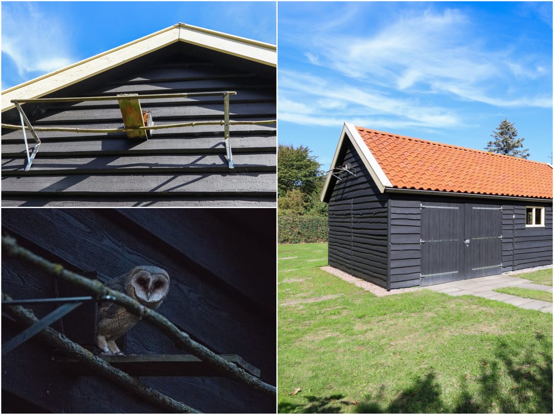 Photo 22 of Duinen 4