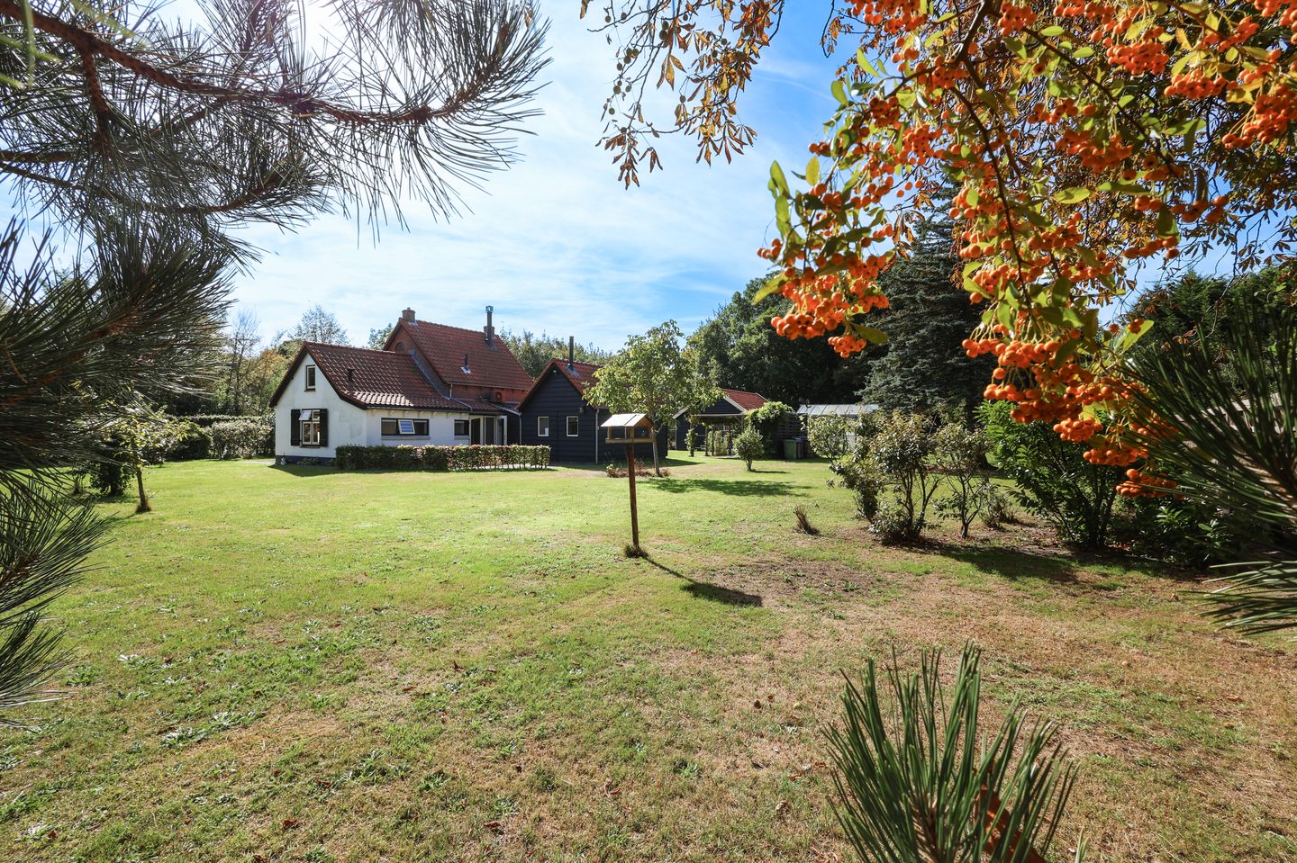 Photo 25 of Duinen 4