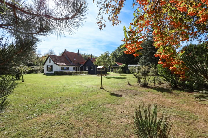 Foto 25 van Duinen 4