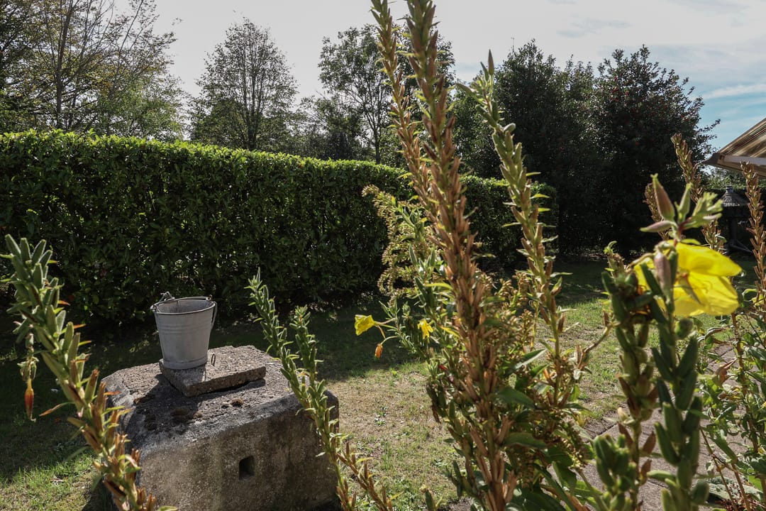 Photo 26 of Duinen 4