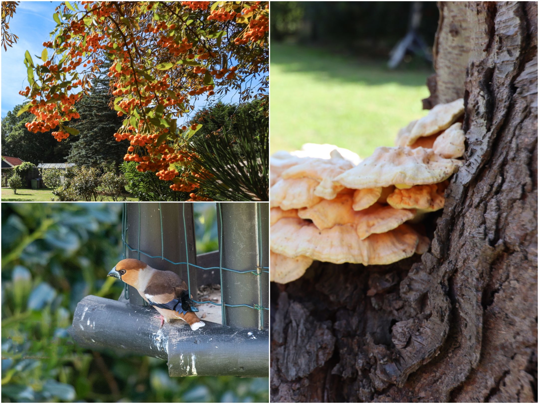 Photo 30 of Duinen 4