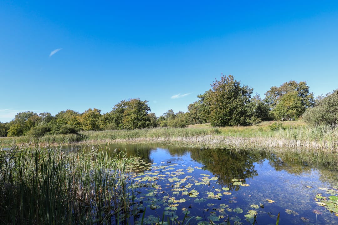 Photo 31 of Duinen 4