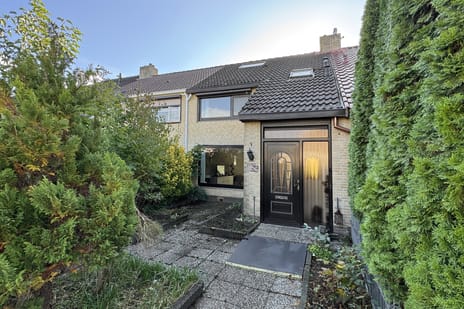 undefined main image