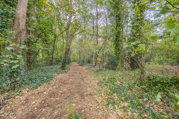 Photo 71 of Wassevendreef 86