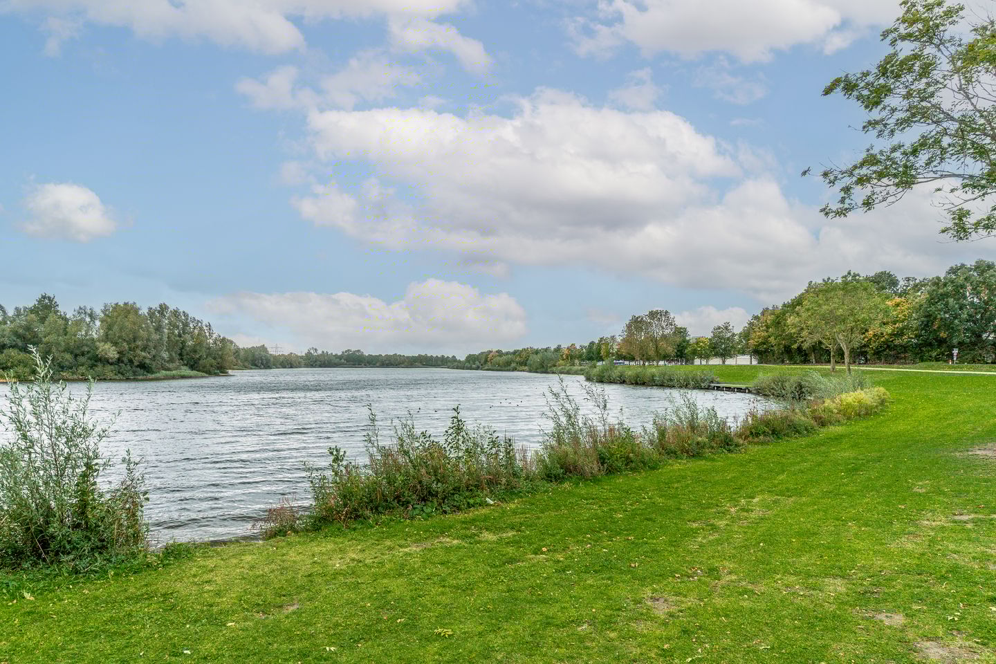 Foto 35 van Shipovalaan 19