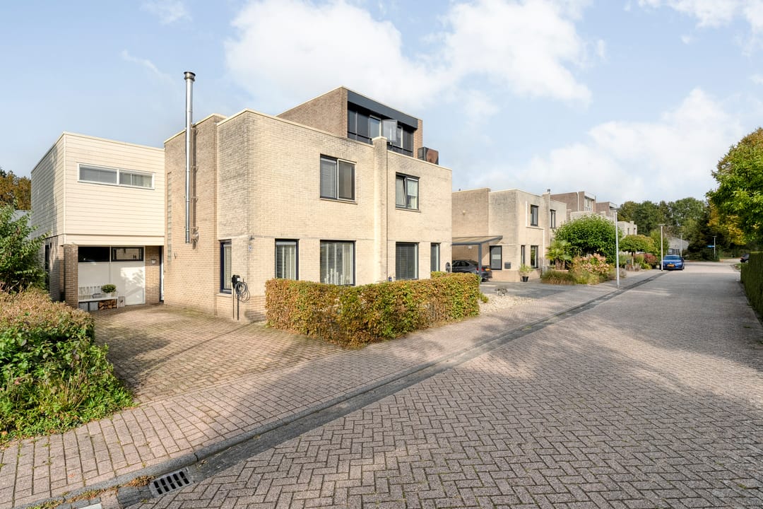 Photo 38 of Braamspinner 9