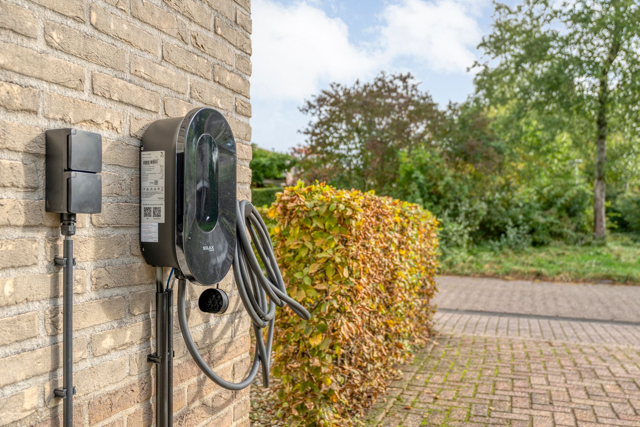 Photo 42 of Braamspinner 9