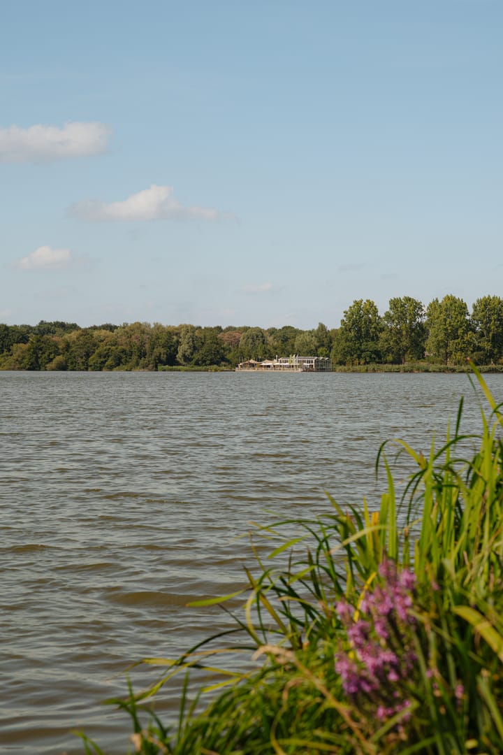 Photo 26 of Populierenlaan 549