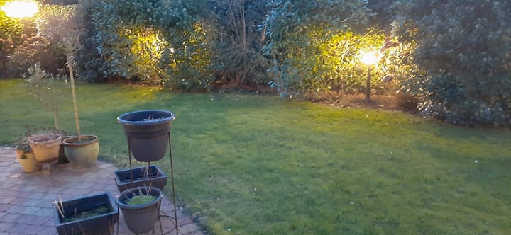 Foto 32 van De Toekomst 79