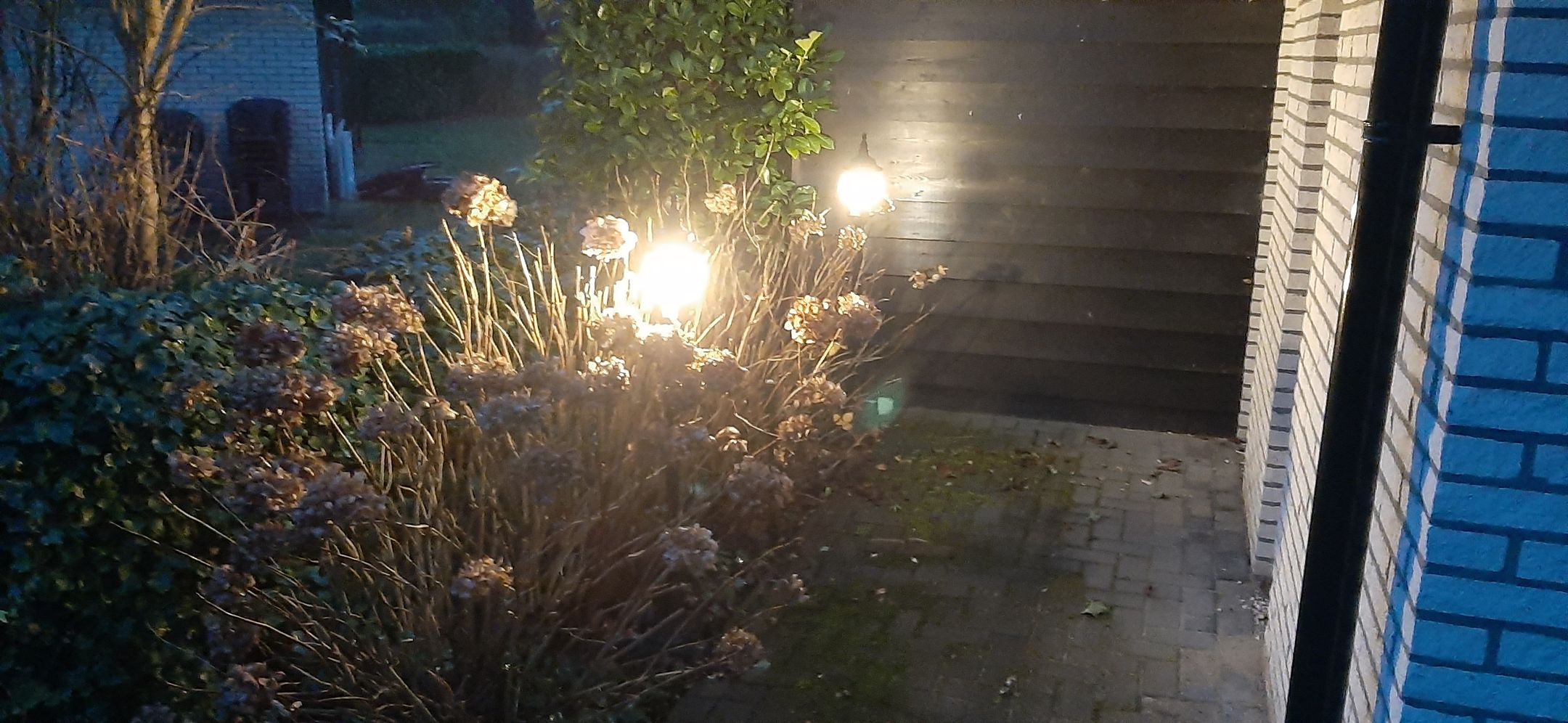 Foto 33 van De Toekomst 79