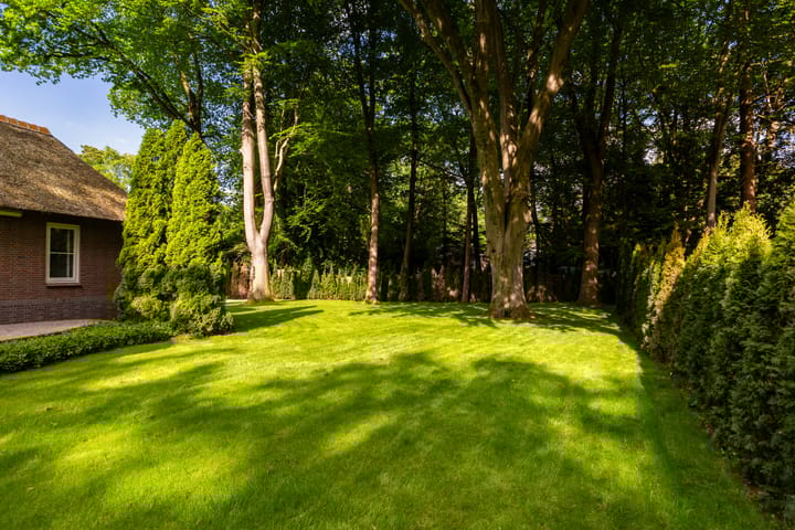 Photo 46 of Vondellaan 18