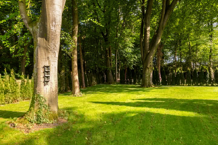 Photo 48 of Vondellaan 18