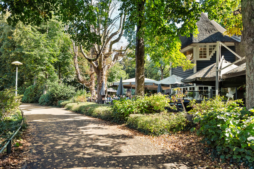Photo 37 of Beukstraat 25