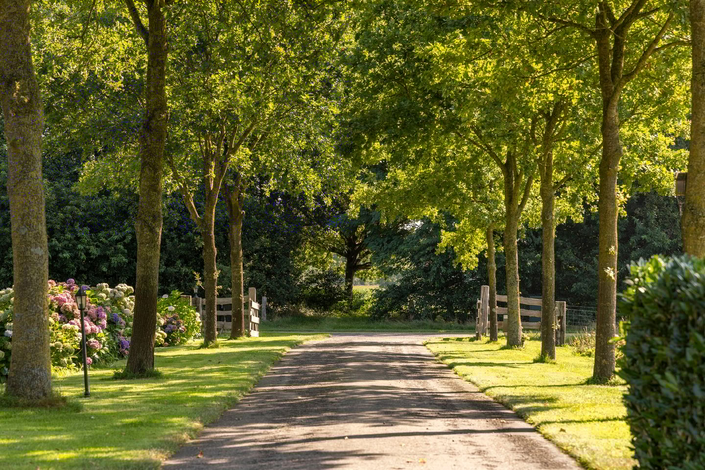 Photo 55 of Schapendijk 7