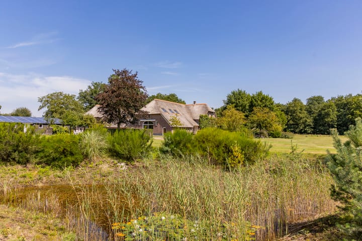 Foto 74 van Schapendijk 7