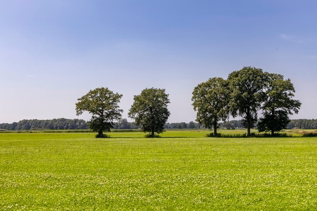 Photo 76 of Schapendijk 7