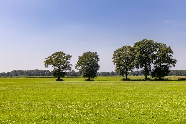 Foto 76 van Schapendijk 7