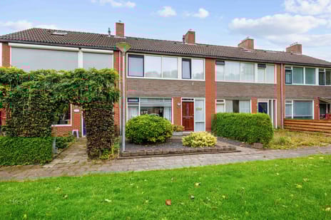 undefined main image