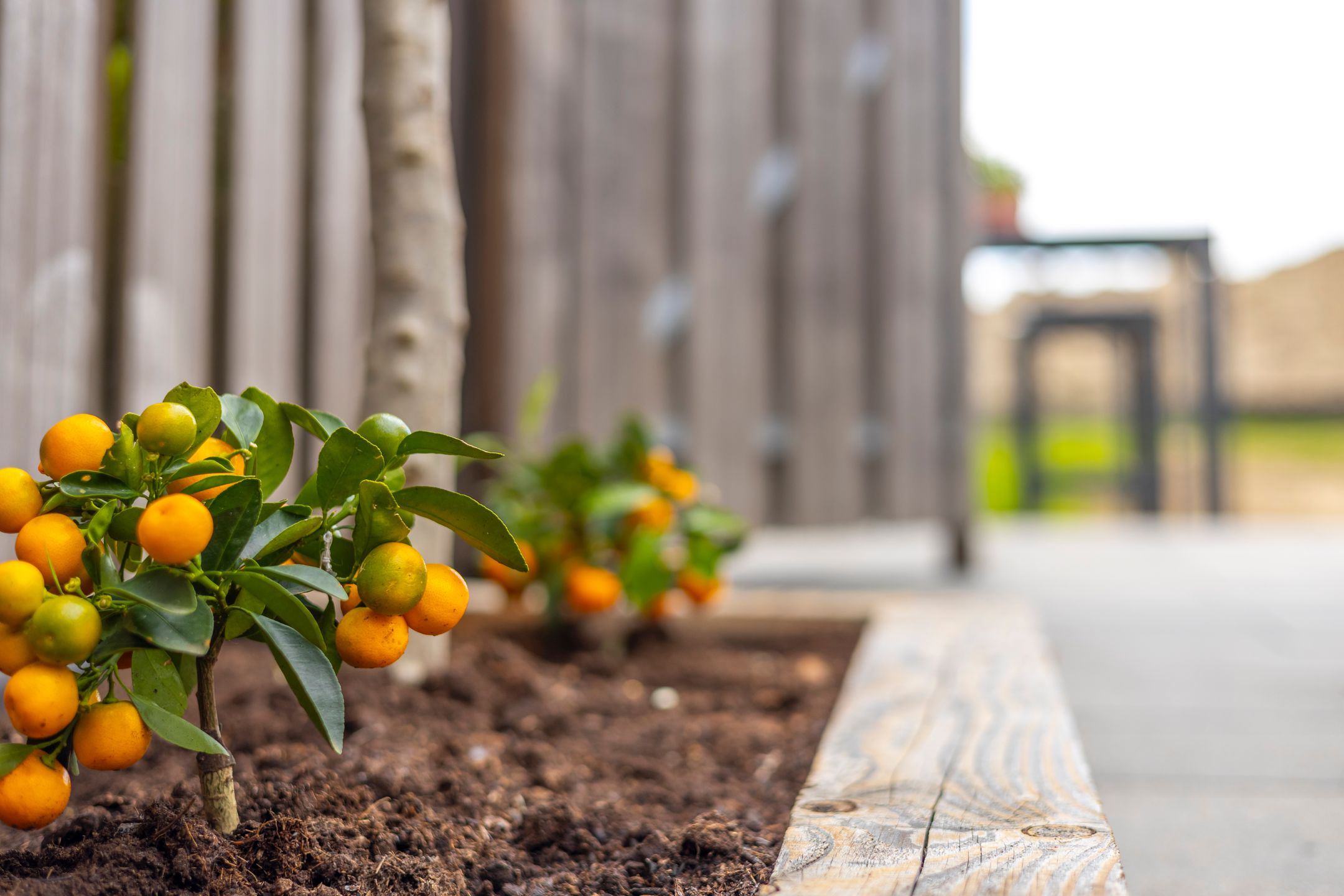 Photo 30 of Grutto 31