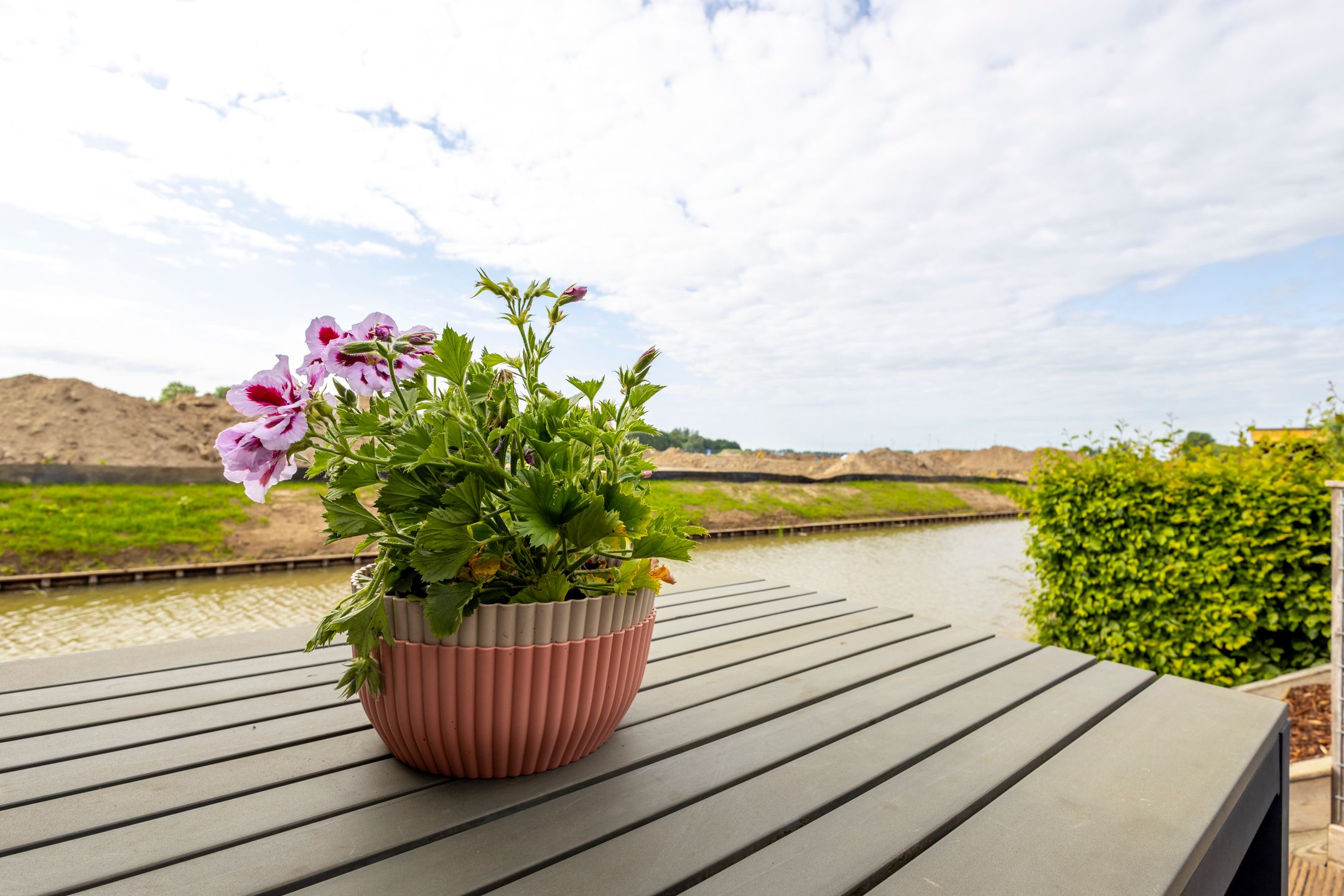 Photo 33 of Grutto 31