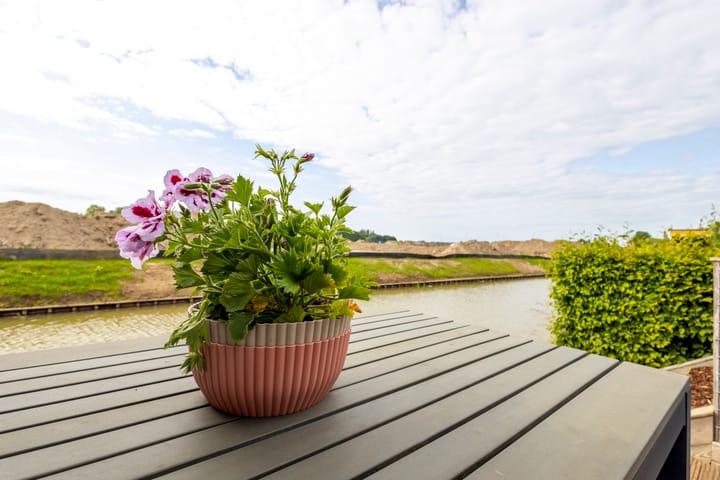 Foto 33 van Grutto 31