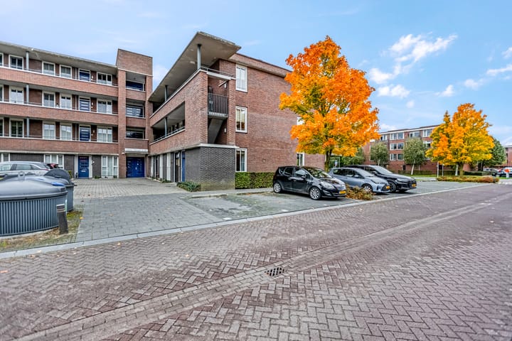 Foto 11 van Sterappel 2