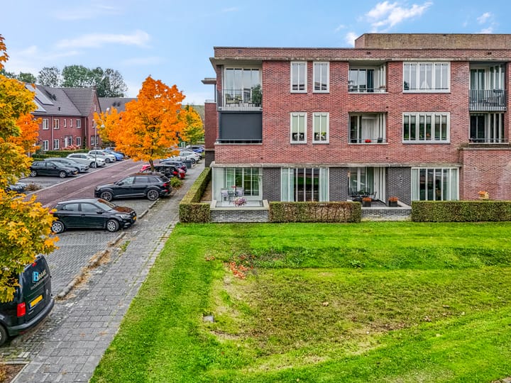 Foto 7 van Sterappel 2