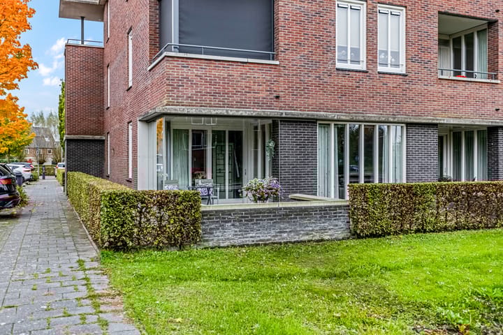 Foto 38 van Sterappel 2