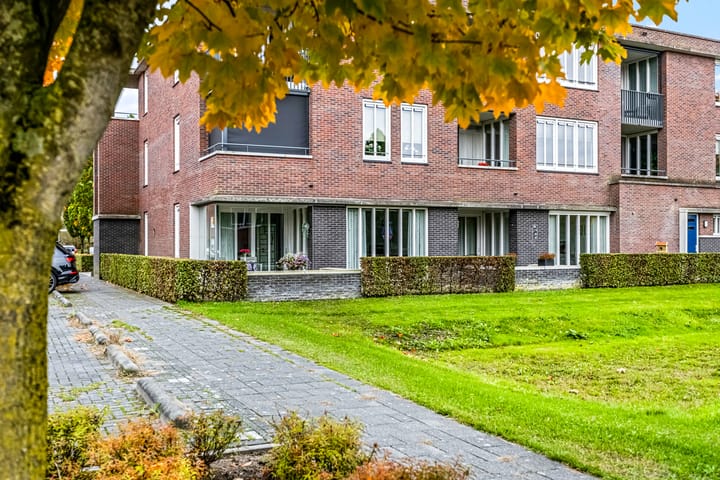 Foto 39 van Sterappel 2