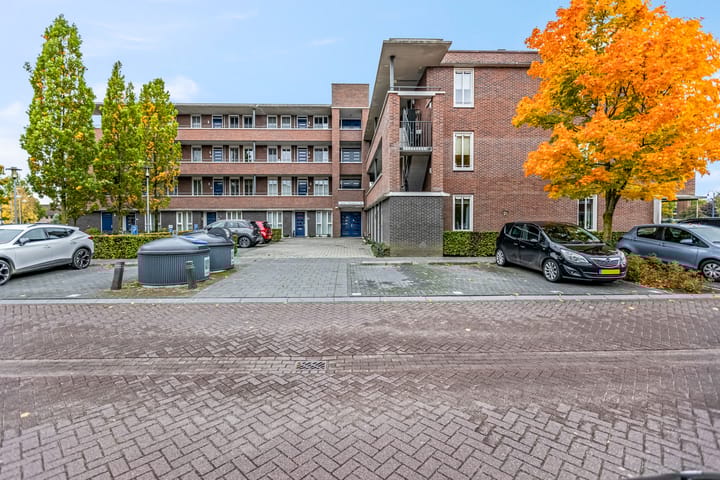 Foto 41 van Sterappel 2