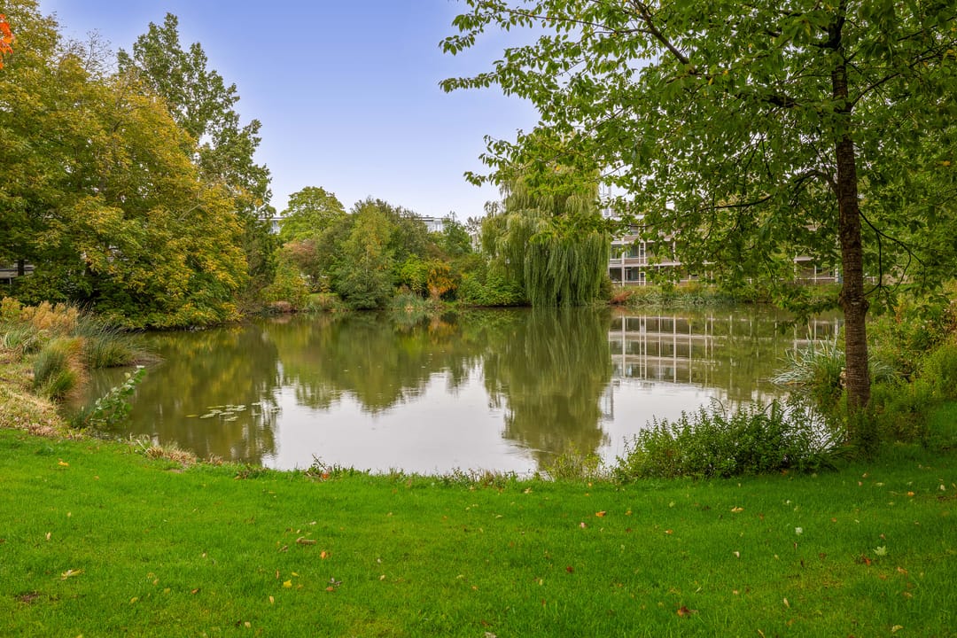 Foto 37 van Thorbeckestraat 310