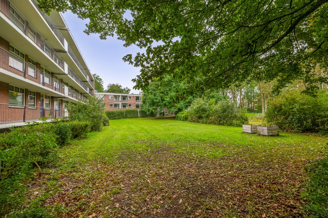 Foto 38 van Thorbeckestraat 310