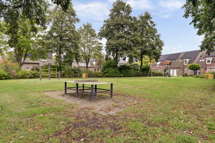 Foto 42 van Dokter Duchateaustraat 35