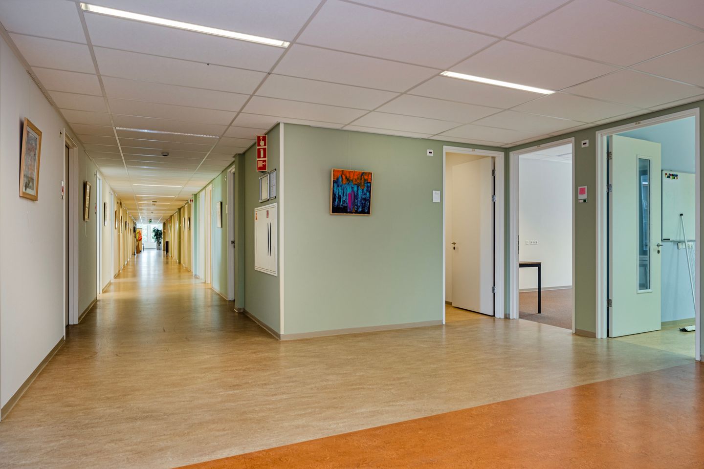 Bekijk foto 5 van Den Elterweg 75