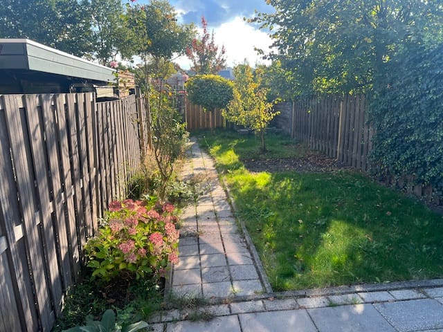 Foto 6 van Matkopsingel 3