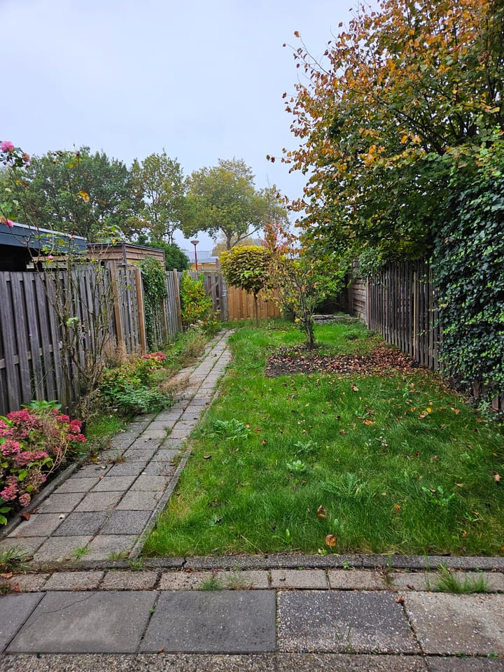 Foto 7 van Matkopsingel 3