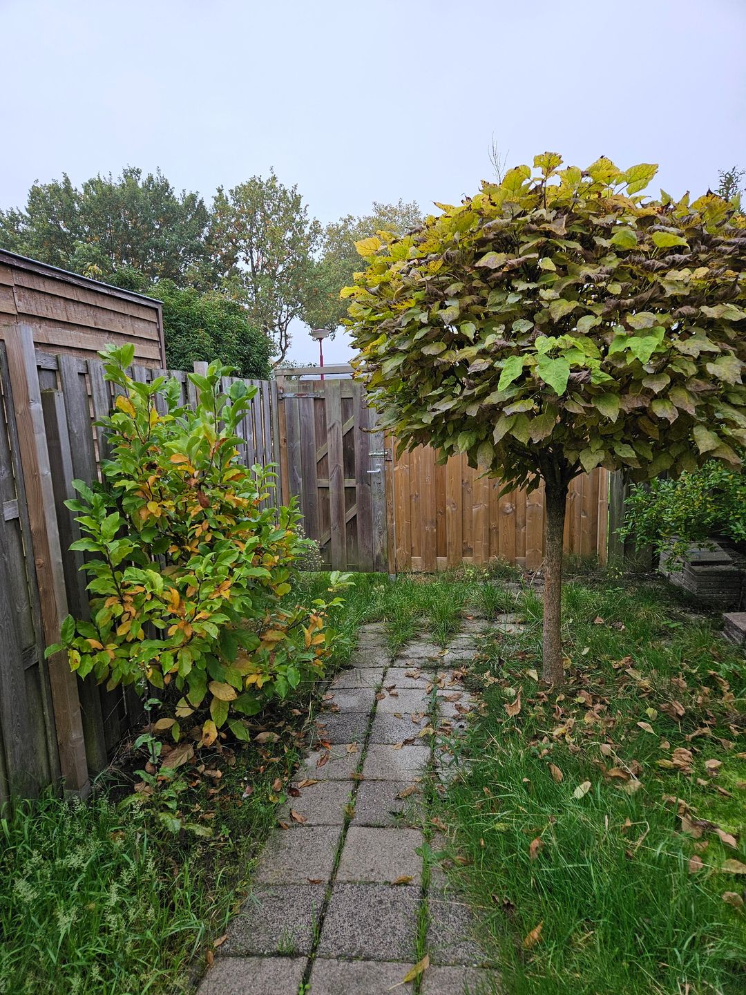 Photo 8 of Matkopsingel 3