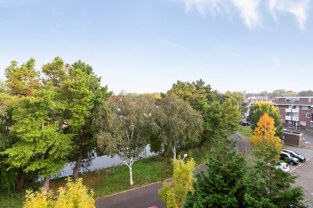 Foto 8 van Hollandsch Diep 103