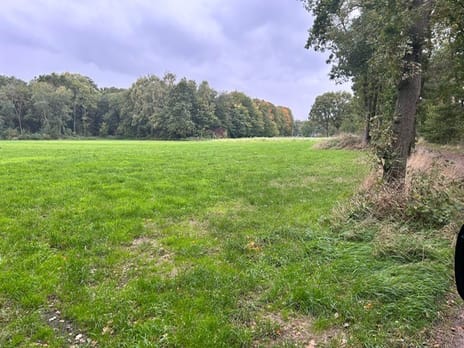 Bekijk foto's