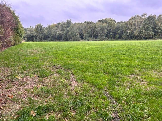 Bekijk foto 4 van Grotesteeg/Hoogbeemdenweg