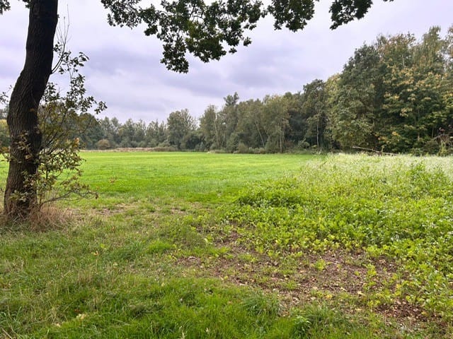 Bekijk foto 5 van Grotesteeg/Hoogbeemdenweg