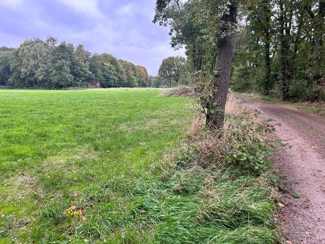 Bekijk foto 3 van Grotesteeg/Hoogbeemdenweg