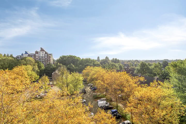 Foto 34 van Logger 296