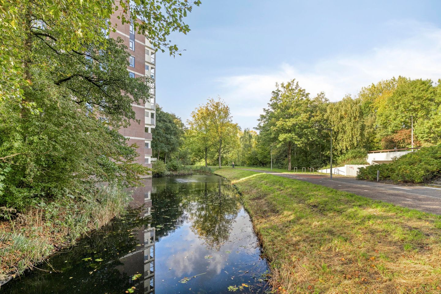 Foto 35 van Logger 296