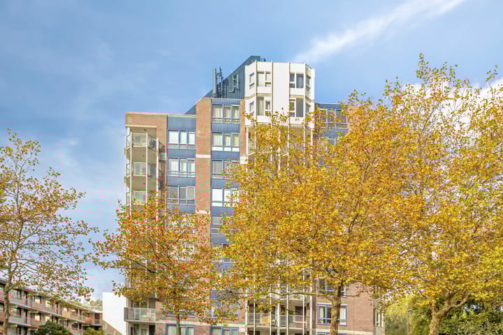 Foto 39 van Logger 296