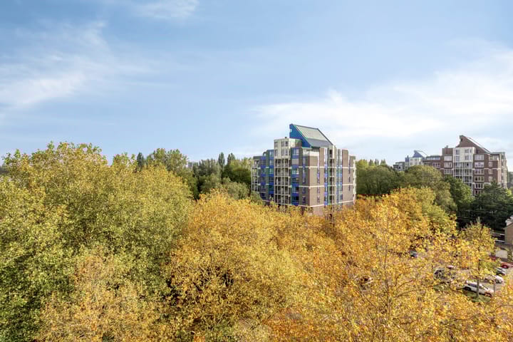 Foto 44 van Logger 296